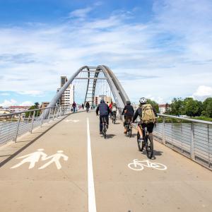 Passerelle des Trois Pays ©D. Lett